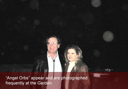 Angel Orbs at the Garden image