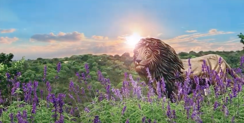 "Lion of Judah"® Gift Announcement